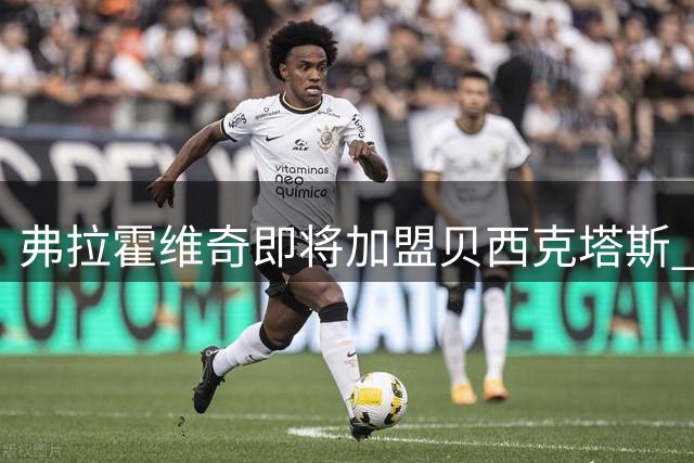 弗拉霍维奇即将加盟贝西克塔斯 周四安排体检