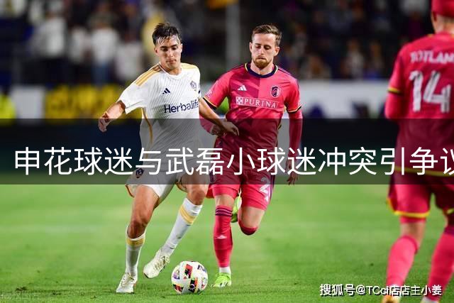 申花球迷与武磊小球迷冲突引争议 武磊公开寻人表达关怀