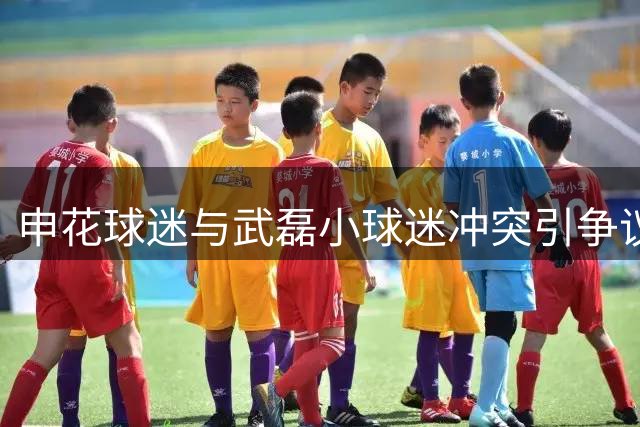 申花球迷与武磊小球迷冲突引争议 武磊公开寻人表达关怀